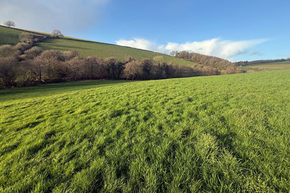 20.2 acres of Grazing Land for sale in Kingsbridge