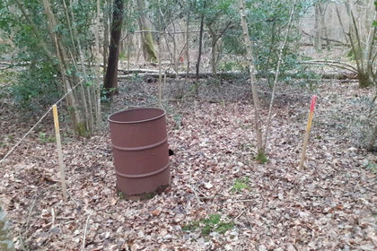 Woodland for sale in Dunsfold