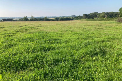 6.1 acres of Agricultural Land for sale in Crowan