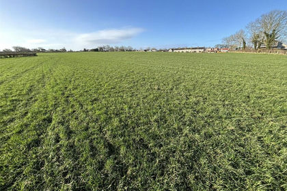 28.1 acres of Agricultural Land for sale in Overton