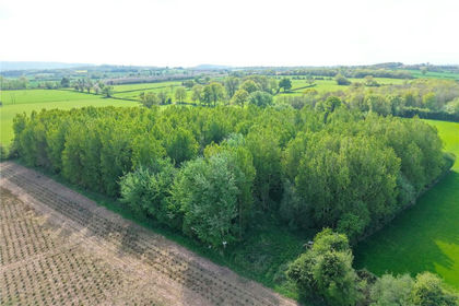 3.2 acres of Undeveloped Land for sale in Bishop's Frome