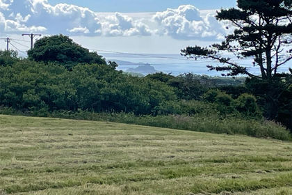1.6 acres of Undeveloped Land for sale in Madron