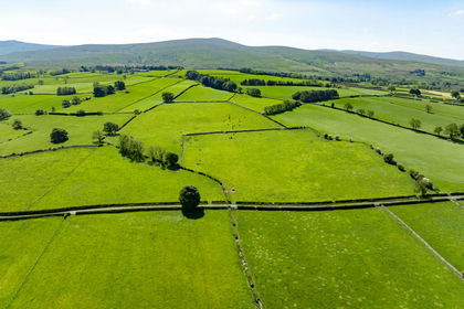 17.6 acres of Undeveloped Land for sale in Caldbeck