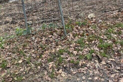 Development Land for sale in South Basildon and East Thurrock