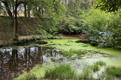 34.5 acres of Woodland for sale in Denby Dale