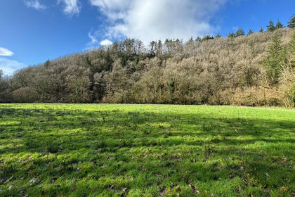 54.4 acres of Agricultural Land for sale in Llanpumsaint