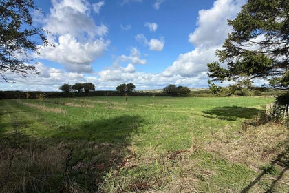 Undeveloped Land for sale in Newchurch