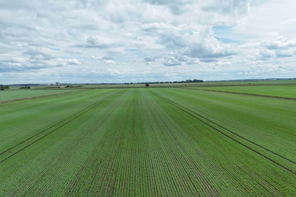 124.4 acres of Farmland for sale in Washingborough