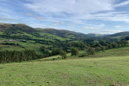 143 acres of Farmland for sale in Llanbrynmair