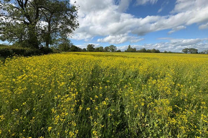 10.5 acres of Farmland for sale in Eccleshall