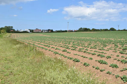46.6 acres of Farmland for sale in Skipsea