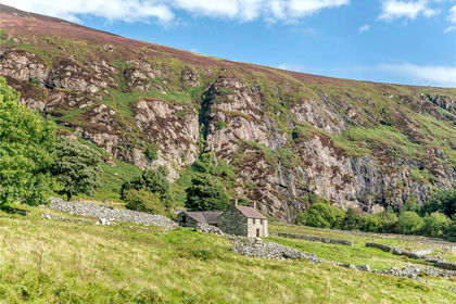 329 acres of Agricultural Land for sale in Pistyll