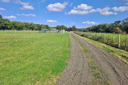 Land for sale in Horsted Keynes