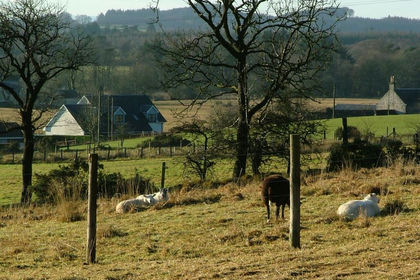 2.6 acres of Development Land for sale in Perth and Kinross-shire