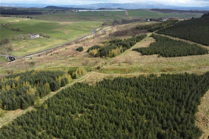 34.8 acres of Woodland for sale in Stirling and Strathallan