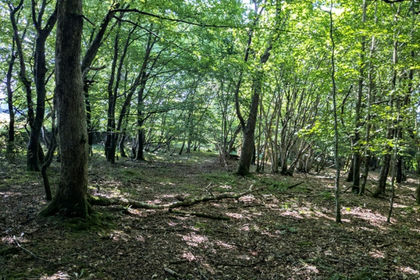 2 acres of For sale in Cornwall