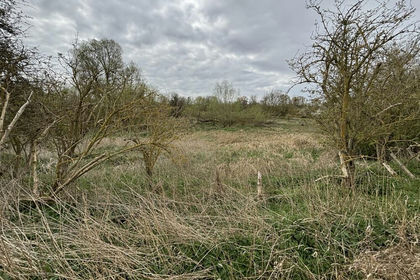 2.5 acres of Woodland for sale in Harlow
