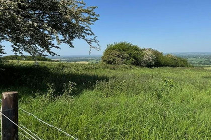 Cheap Land for sale in Turnworth
