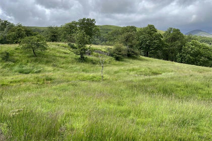 13.6 acres of Agricultural Land for sale in Torver
