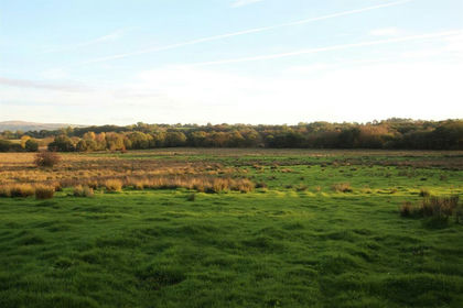 38 acres of Agricultural Land for sale in Llangeitho