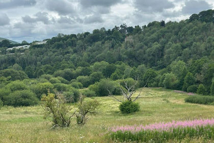 6.5 acres of Recreational Land for sale in Caerwys