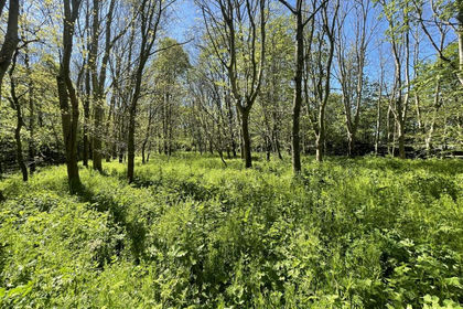 1.8 acres of Woodland for sale in Huttons Ambo