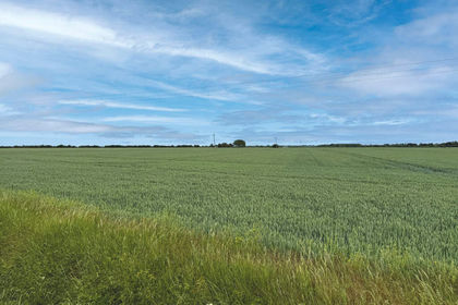 24.4 acres of Arable Land for sale in Rampton