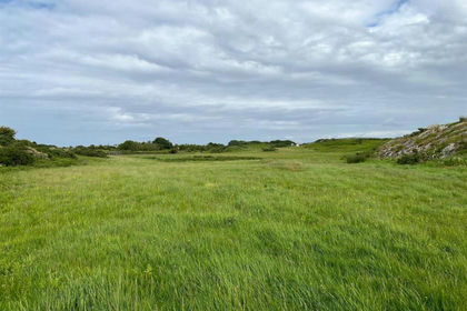 71.5 acres of Undeveloped Land for sale in Mechell