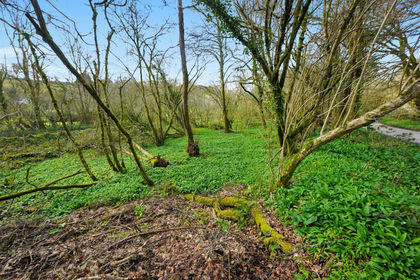 Vacant Land for sale in St. Keyne and Trewidland