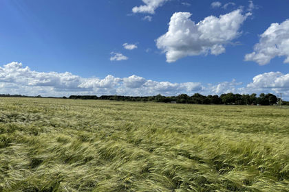 47.9 acres of For sale in Aldbrough