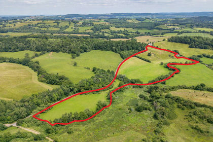 25.9 acres of Agricultural Land for sale in Whitecastle