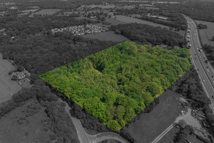 Woodland for sale in Tanworth-in-Arden