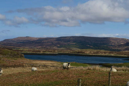 Land for sale in Inverness, Skye and West Ross-shire