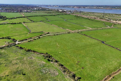 275.5 acres of Farmland for sale in Shorne