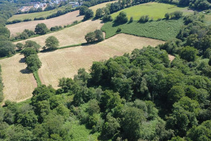 22.5 acres of Pasture for sale in Aber Valley