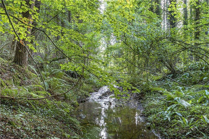 9.4 acres of Woodland for sale in Uplyme