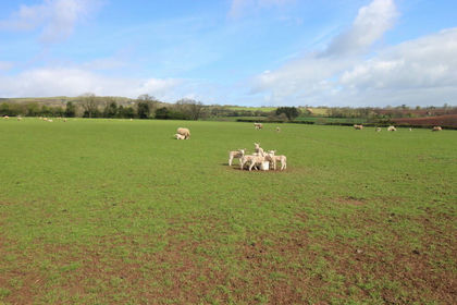 22.3 acres of Farm for sale in Coreley