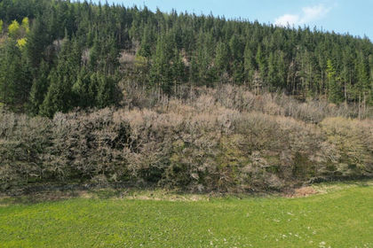 13.5 acres of Recreational Land for sale in Llanfihangel-y-Pennant