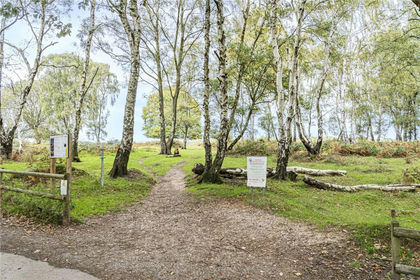 209.5 acres of Agricultural Land for sale in Brindley Heath