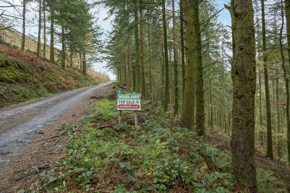 11.5 acres of Woodland for sale in