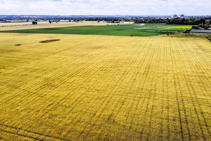 220 acres of Farm for sale in Willington