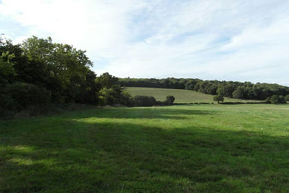 Agricultural Land for sale in Bromley and Biggin Hill