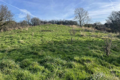 7.7 acres of Agricultural Land for sale in Ible