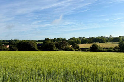 19.4 acres of Farmland for sale in Wissett