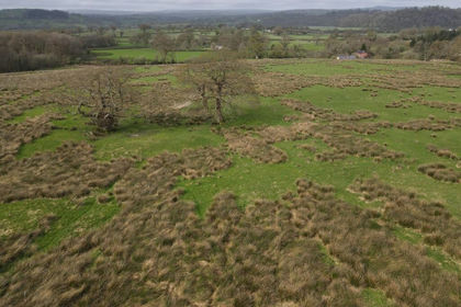 22.5 acres of Agricultural Land for sale in Llanfihangel Aberbythych