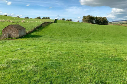 22.1 acres of Agricultural Land for sale in Kirkoswald