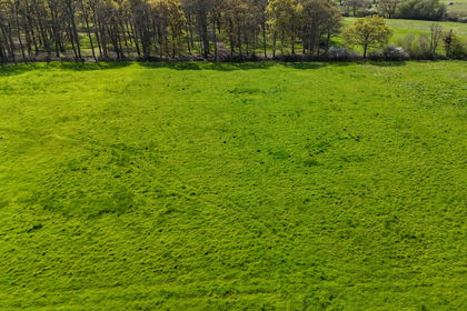 1.5 acres of Undeveloped Land for sale in Netley Marsh