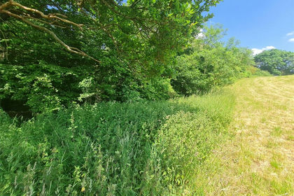 26.2 acres of Recreational Land for sale in Reigate