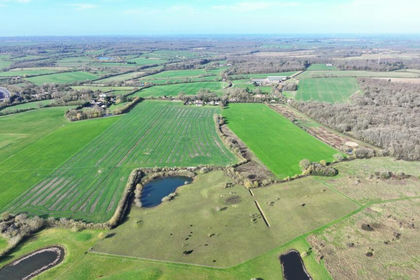 10.7 acres of Undeveloped Land for sale in Margaretting