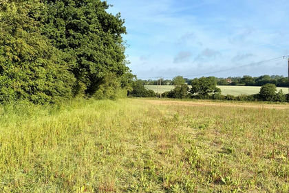 5 acres of Farmland for sale in Wissett